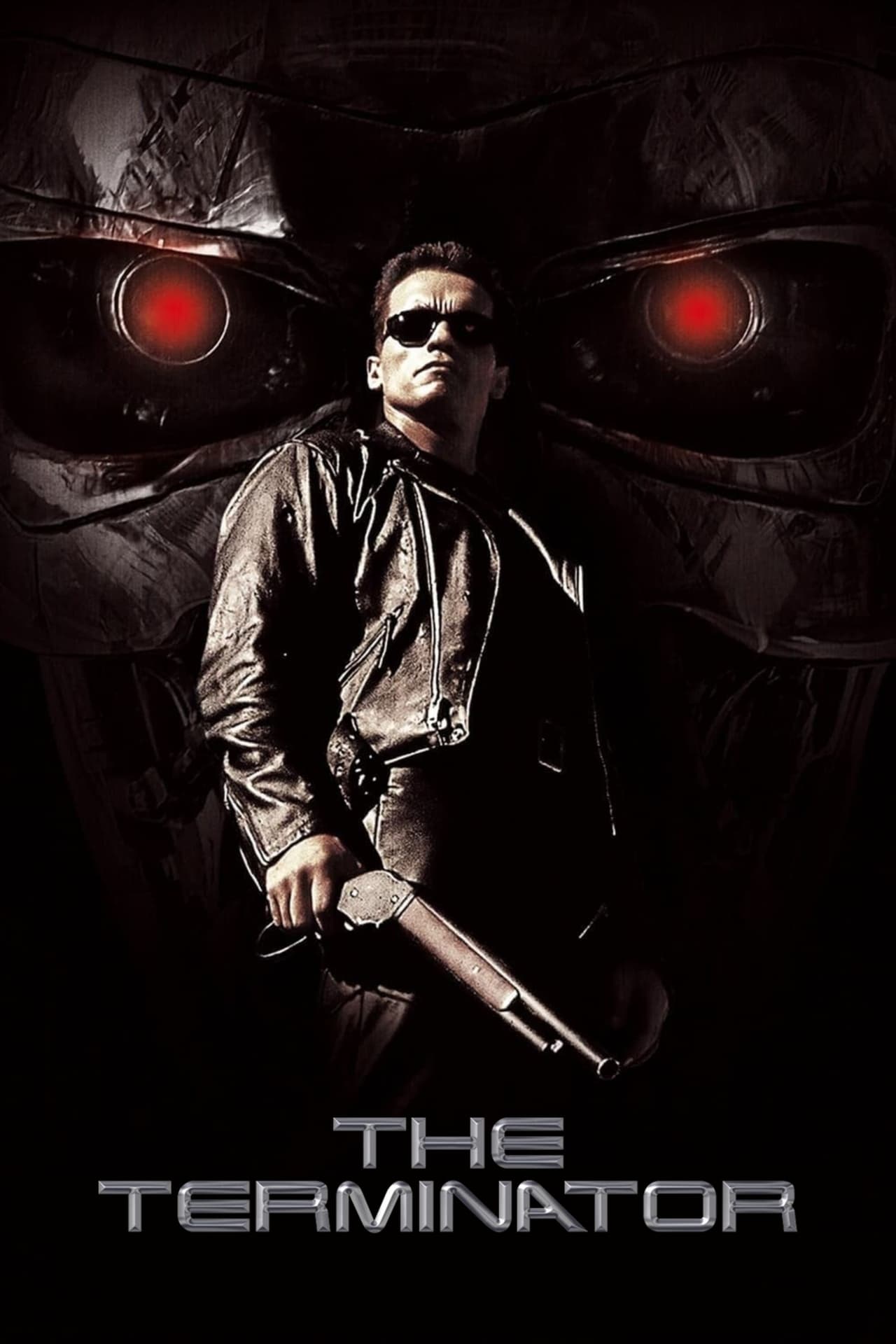 The Terminator Poster